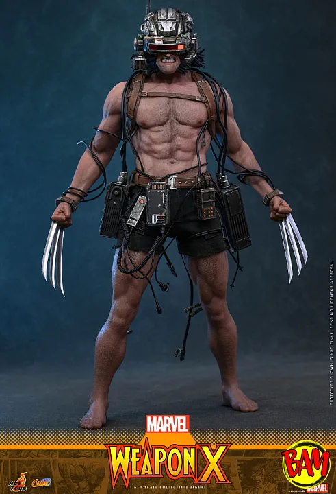 Hot Toys: CMS034 Weapon X 1/6 Scale Actionfigur (Marvel Comics)