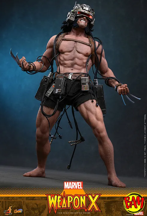 Hot Toys: CMS034 Weapon X 1/6 Scale Actionfigur (Marvel Comics)