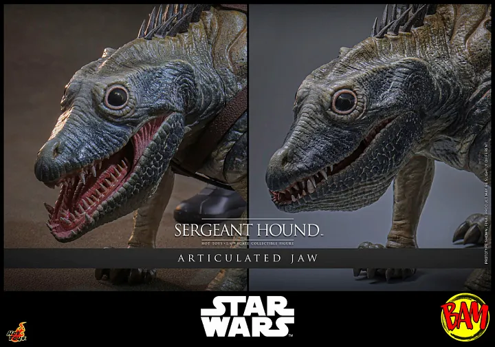 Hot Toys: TMS167 Sergeant Hound 1/6 Scale Action Figure (Clone Wars)