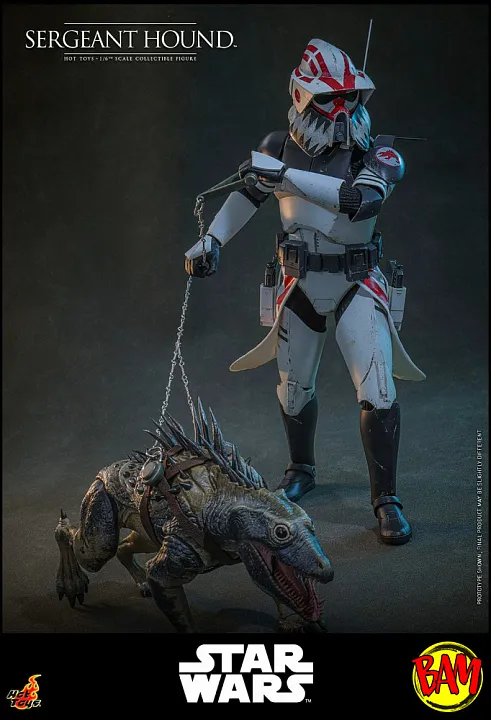 Hot Toys: TMS167 Sergeant Hound 1/6 Scale Action Figure (Clone Wars)