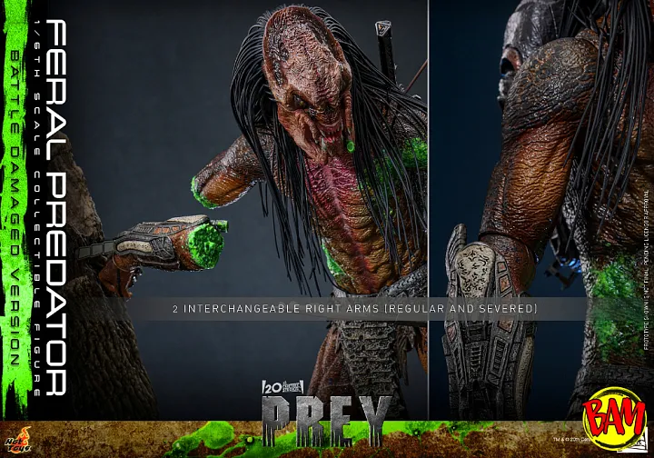 Hot Toys: TMS173 Feral Predator 1/6 Scale Actionfigur Battle Damaged Version (Prey)