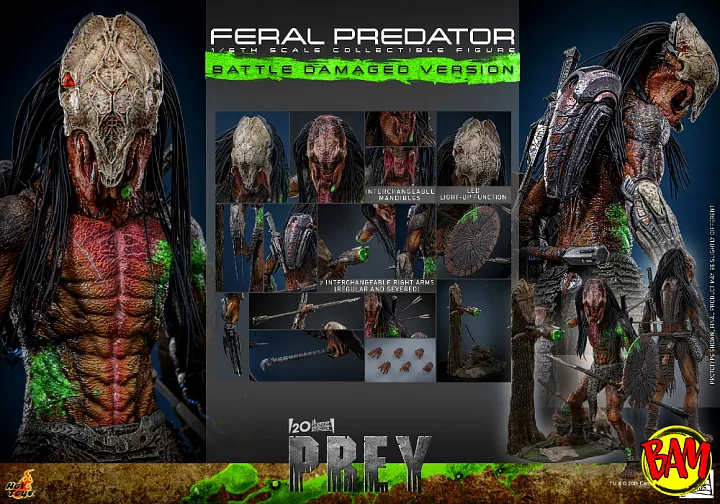 Hot Toys: TMS173 Feral Predator 1/6 Scale Actionfigur Battle Damaged Version (Prey)