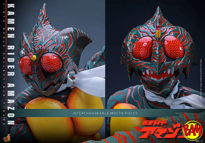 Hot Toys: TMS184 Kamen Rider Amazon 1/6 Scale Actionfigur (Daisuke Yamamoto)