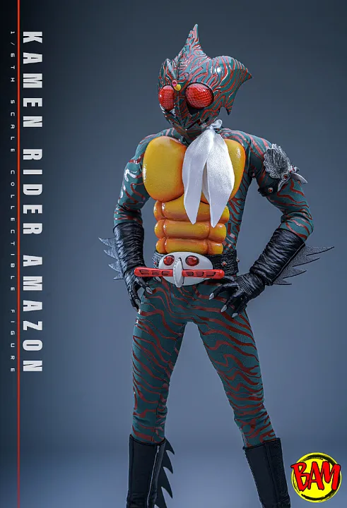 Hot Toys: TMS184 Kamen Rider Amazon 1/6 Scale Actionfigur (Daisuke Yamamoto)