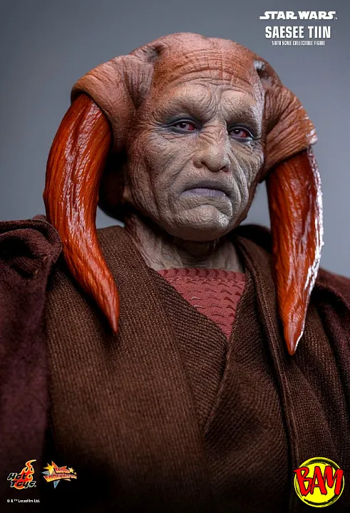 Hot Toys: MMS820 Saesee Tiin 1/6 Scale Actionfigur (Star Wars)