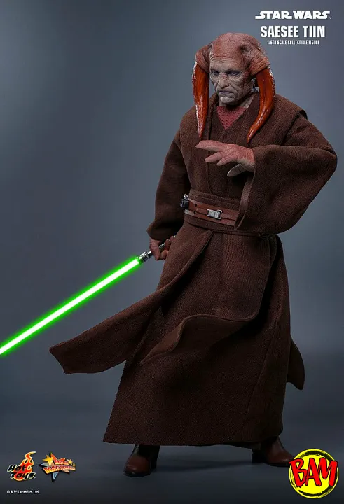 Hot Toys: MMS820 Saesee Tiin 1/6 Scale Actionfigur (Star Wars)