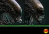 Hot Toys: MMS826 Big Chap 1/6 Scale Actionfigur (Alien)