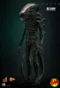 Hot Toys: MMS826 Big Chap 1/6 Scale Actionfigur (Alien)