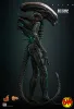 Hot Toys: MMS826 Big Chap 1/6 Scale Actionfigur (Alien)