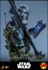 Hot Toys: MMS877 Clone Commander Gree 1/6 Scale Actionfigur (Star Wars)
