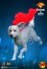 Hot Toys: MMS812 Superman & Krypto 1/6 Scale Action Figure (Superman | DC)
