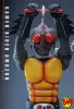 Hot Toys: TMS184 Kamen Rider Amazon 1/6 Scale Actionfigur (Daisuke Yamamoto)