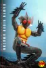 Hot Toys: TMS184 Kamen Rider Amazon 1/6 Scale Actionfigur (Daisuke Yamamoto)
