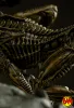 Iron Studios: Art Scale 1/10 Ellen Ripley und Dog Alien Statue (Alien III)