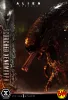Prime 1 Studio: Scorched Xenomorph Museum Masterline XL (Alien Romulus)