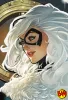 Sideshow: Art Print Cosmic Black Cat (The Amazing Spider-Man)